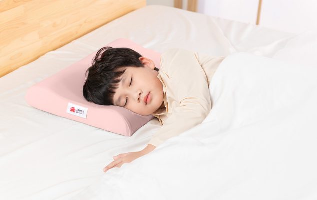 Hachiko Juniors Pillow